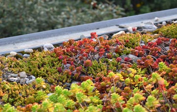 the cost of Thorpe Malsor green roof installation