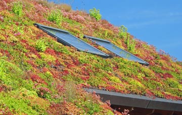 Thorpe Malsor living roof systems